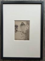 Jan Mankes 1889-1920 / Heliogravure Puttertje op Tak 1923, Antiek en Kunst, Kunst | Etsen en Gravures, Ophalen of Verzenden