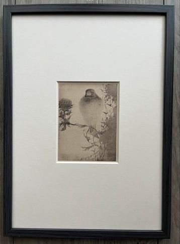 Jan Mankes 1889-1920 / Heliogravure Puttertje op Tak 1923 beschikbaar voor biedingen