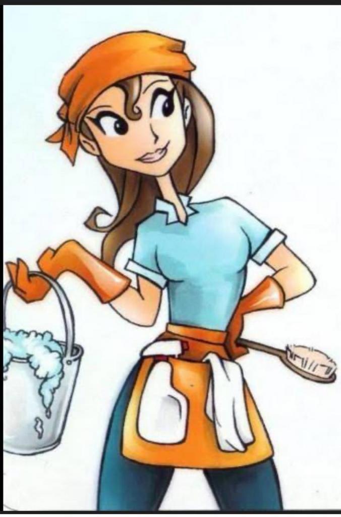 Schoonmaakster aangeboden (leiden), Vacatures, Vacatures | Schoonmaak en Facilitaire diensten, Vanaf 10 jaar, Overige vormen