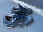 Wandelschoenen Lowa Renegade GTX dames 39,5, Ophalen of Verzenden, Zo goed als nieuw, Schoenen