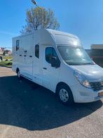 Renault Master Paardenwagen dubbele cabine, Auto's, Bestelauto's, Voorwielaandrijving, 4 cilinders, Wit, Bedrijf