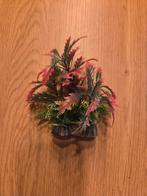 Klein roze plantje voor aquarium, Dieren en Toebehoren, Vissen | Aquaria en Toebehoren, Ophalen, Plant(en), Steen of Hout