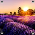 Tuinverruimer-Tuinposter - Lavendelveld Sunset 100x100 cm, Tuin en Terras, Tuinwanddecoratie, Verzenden, Nieuw, Good Smiling, Info@goodsmiling.com