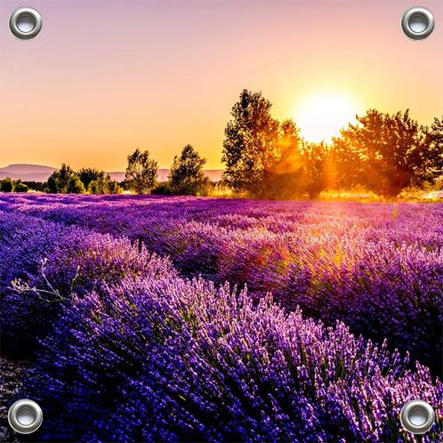 Tuinverruimer-Tuinposter - Lavendelveld Sunset 100x100 cm, Tuin en Terras, Tuinwanddecoratie, Nieuw, Verzenden