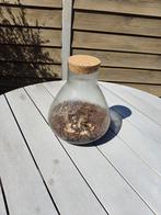 Pot terrarium, Ophalen, Zo goed als nieuw, Overige kleuren, Minder dan 50 cm