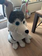 Grote Husky Knuffel, Ophalen of Verzenden, Zo goed als nieuw, Hond