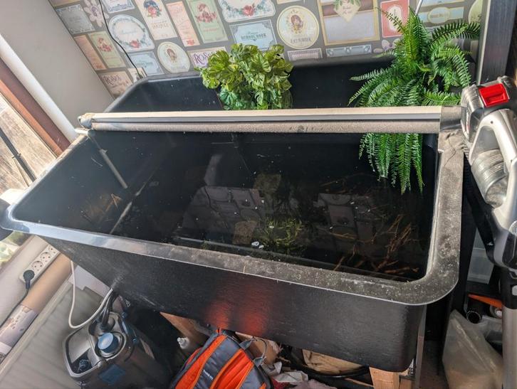 Grote vijverbak te koop, Dieren en Toebehoren, Reptielen en Amfibieën | Toebehoren, Zo goed als nieuw, Ophalen