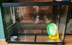 Hamster kooi, Dieren en Toebehoren, Kooi, Gebruikt, Minder dan 75 cm, Hamster
