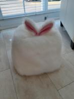 Kinder poefje, Ophalen, Gebruikt, Jongen of Meisje