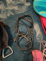 Hoofdstel cob, Ophalen of Verzenden, Nieuw, Dressuur