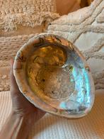 Abalone schelp als sieradenbakje - medium formaat, Verzamelen, Ophalen of Verzenden