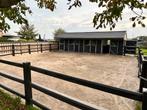 Rustige privé pensionstalling met uitloop – 3 boxen vrij!, Dieren en Toebehoren, Stalling, 2 of 3 paarden of pony's
