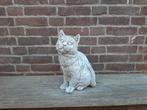 Kat betonnen beeld tuinbeeld beton poes, Tuin en Terras, Tuinbeelden, Ophalen of Verzenden