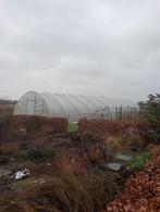 Tunnelkas, Ophalen, Overige materialen, Gebruikt, Kweekkas