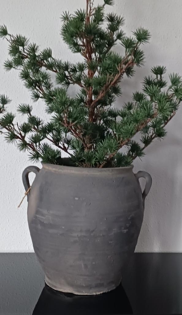 Prachtige oude water kruik pot vaas Luksa, Antiek en Kunst, Curiosa en Brocante, Ophalen