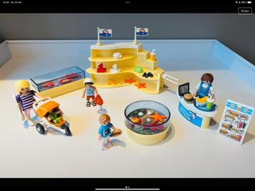 Playmobil aquarium klein beschikbaar voor biedingen