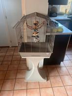 Vogelkooi met staande voet, Dieren en Toebehoren, Vogels | Hokken en Kooien, Ophalen, Zo goed als nieuw, Metaal, Vogelkooi