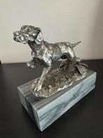 Beeld jachthond / vizsla, Ophalen of Verzenden