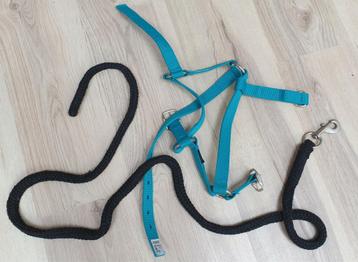 Halsterset fouganza beschikbaar voor biedingen