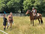 Paarden te lease in EDE voor sport en recreatie, Diensten en Vakmensen, Ruiter of Bijrijder