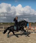 Bijrijder/ster/ruiter gezocht, Ruiter of Bijrijder