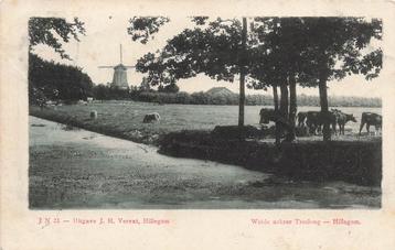 U699 Hillegom Weide achter Treslong  MOLEN  uitg Vervat 1901 beschikbaar voor biedingen