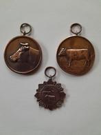 Medailles van Veekeuringen uit jaren '48 ,'49 en 1950, Postzegels en Munten, Penningen en Medailles, Ophalen of Verzenden, Overige materialen