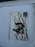 VOGEL. BIJ NESTKASTJE. 1907, Ophalen of Verzenden, Voor 1920, Natuur
