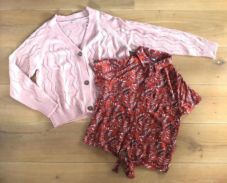 Als nieuw Zeeman setje maat 38 / 40 vest met blouse, Kleding | Dames, Blouses en Tunieken, Zo goed als nieuw, Maat 38/40 (M), Roze