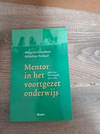 Mentor in het voortgezet onderwijs, Ophalen of Verzenden, Zo goed als nieuw, HBO, Margriet Groothuis, Hildelien Verkuyl