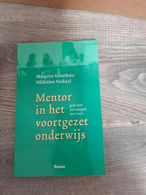 Mentor in het voortgezet onderwijs, Boeken, Studieboeken en Cursussen, Zo goed als nieuw, HBO, Ophalen of Verzenden
