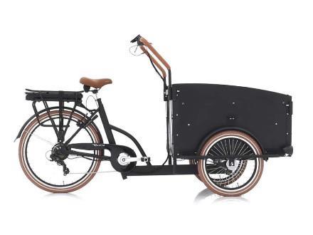 Troy - Bakfiets - Elektrische Bakfiets - Vogue - E Bakfiets, Fietsen en Brommers, Fietsen | Bakfietsen, Nieuw, Overige merken