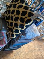 Decoratief Kussen, Ophalen, Nieuw, Overige kleuren, Vierkant