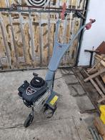 Tuinfrees, Tuin en Terras, Ophalen, Gebruikt, Onbekend, Onbekend