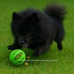 Groene Treat Ball — Interactieve Snackbal voor Honden, Frederik hendrikstraat 124, Verzenden, Nieuw, Kauwspeelgoed