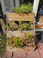 Houten Plantenbak - 3 Niveaus inkl planten, Ophalen, Gebruikt, Minder dan 60 cm, Tuin