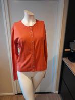 Zgan mooie oranje Pauw Amsterdam vest maat L, Kleding | Dames, Tops, Maat 42/44 (L), Pauw, Oranje, Ophalen of Verzenden