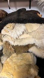 Schapenvachten B-KEUZE. 3 STUKS, Gebruikt, Etten-Leur, DJT@dejuistetoon.eu, Ophalen of Verzenden