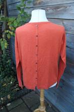 Trui roestrood Giulia e Tu mt 36 Vaste prijs, Bruin, Ophalen of Verzenden, Zo goed als nieuw, Maat 36 (S)