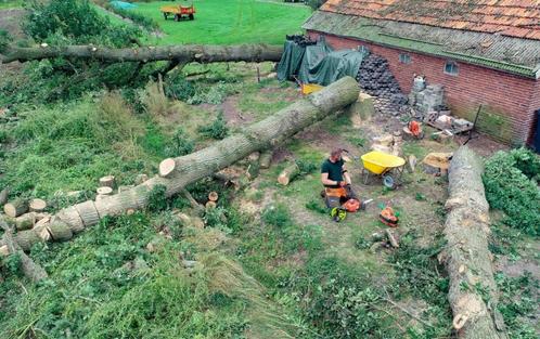 Boomverzorging boom kappen snoeien bomen, Diensten en Vakmensen, Tuinmannen en Stratenmakers, Tuinonderhoud of Snoeiwerk, Garantie