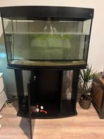 Trofis aquarium 100x65x30, Ophalen of Verzenden