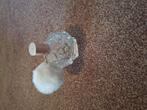 Ariana grande ari parfum flesje, Verzamelen, Ophalen of Verzenden, Gebruikt, Parfumfles