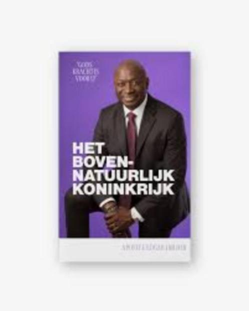 Het bovennatuurlijk Koninkrijk, Boeken, Godsdienst en Theologie, Zo goed als nieuw, Christendom | Katholiek, Christendom | Protestants