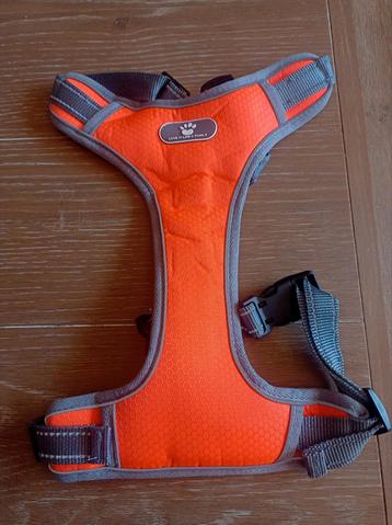 Oranje hondenharnas (Love it like a family/ beschikbaar voor biedingen