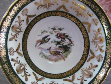 Royal Grafton Birds of Paradise Tea Cup / Kop beschikbaar voor biedingen
