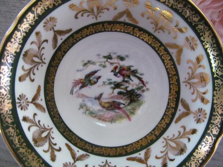 Royal Grafton Birds of Paradise Tea Cup / Kop, Huis en Inrichting, Keuken | Servies, Zo goed als nieuw, Overige typen, Overige stijlen