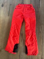 Prachtige zalm oranje skibroek van Protest, maat 36, nieuw!, Kleding | Dames, Wintersportkleding, Ophalen of Verzenden, Zo goed als nieuw