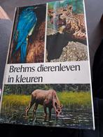 Brehms dierenleven in kleuren, Boeken, Ophalen of Verzenden