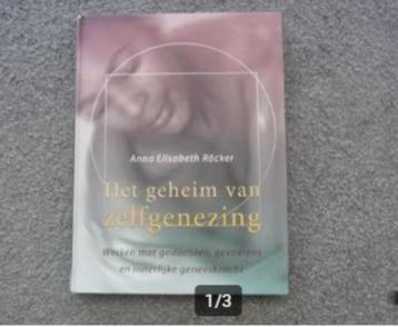Het geheim van zelfgenezing Anna Elisabeth Rocker beschikbaar voor biedingen