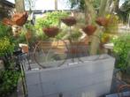 metalen rozen in bloembak, Tuin en Terras, Tuinstekers, Ophalen of Verzenden, Nieuw